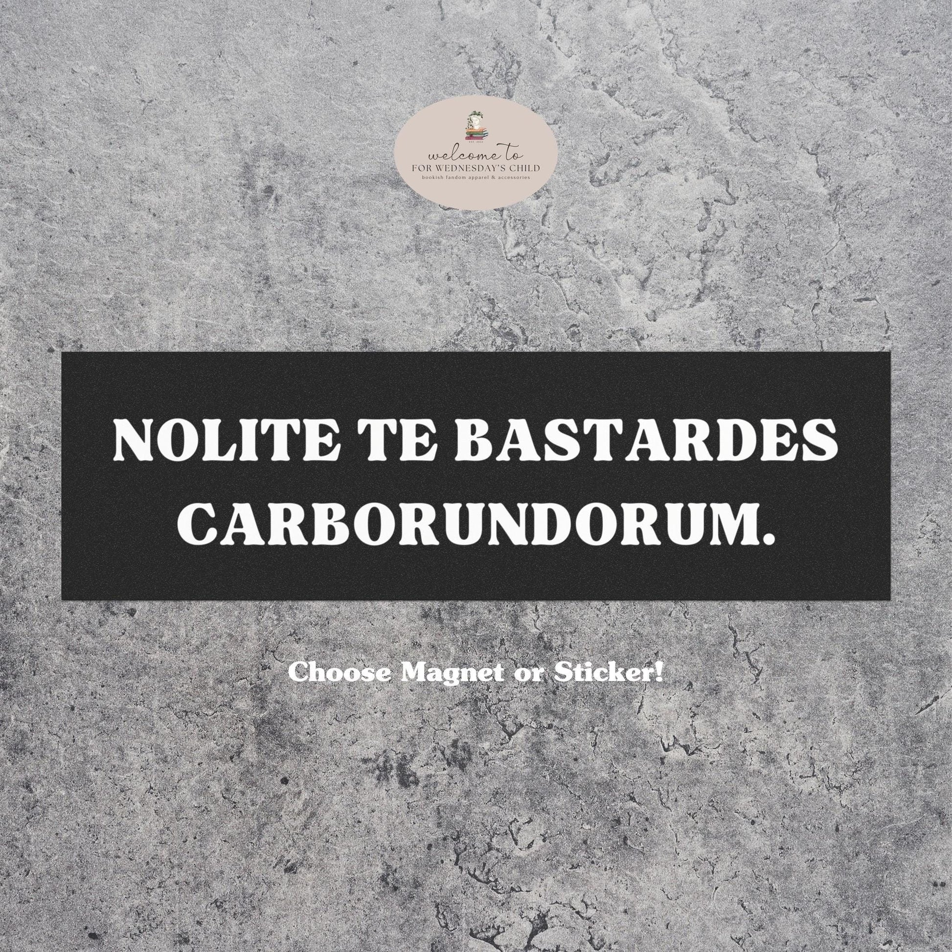 Car Magnet Handmaid's Tale Nolite te bastardes carborundorum * Blessed be the fruit Feminist Rage MATGA Smash Patriarchy Bumper Sticker