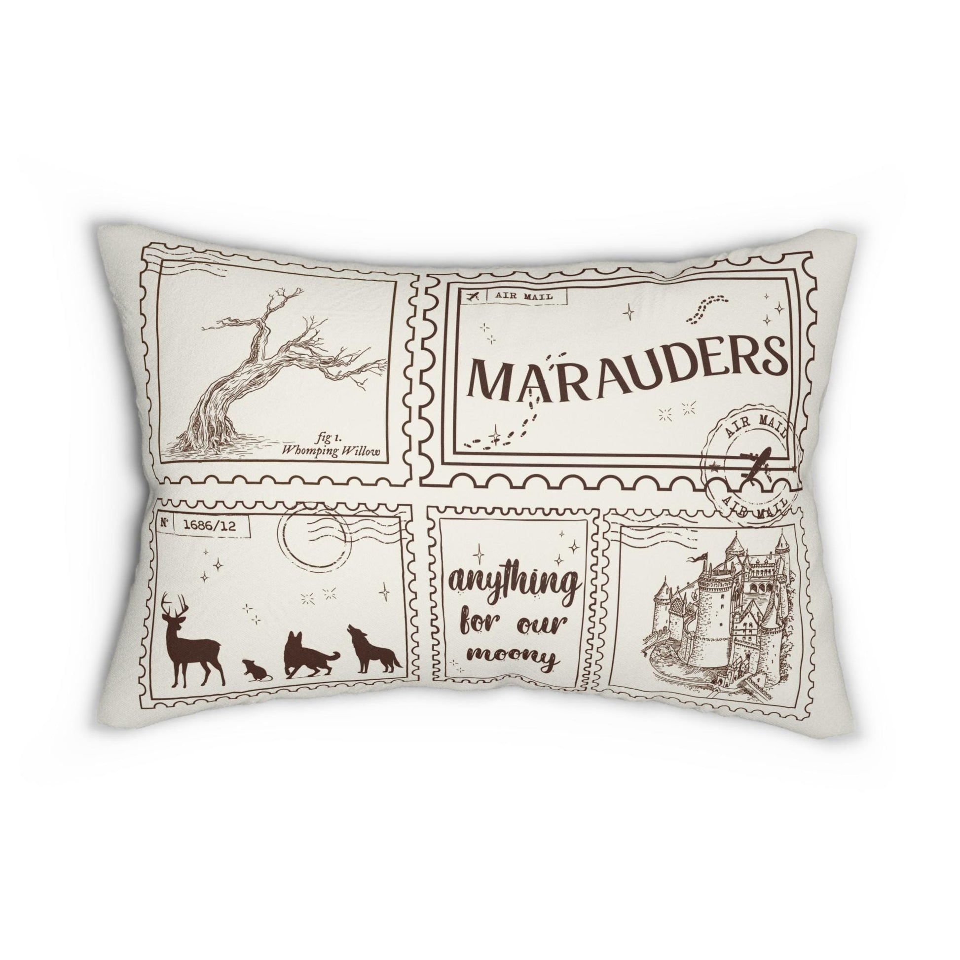 Dramione Marauders Bookish Double Sided Throw Pillow Bookworm Library Decor Gift Ao3 Fanfic Ship Rose Graveyard Whitecroft ATYD Moony Draco