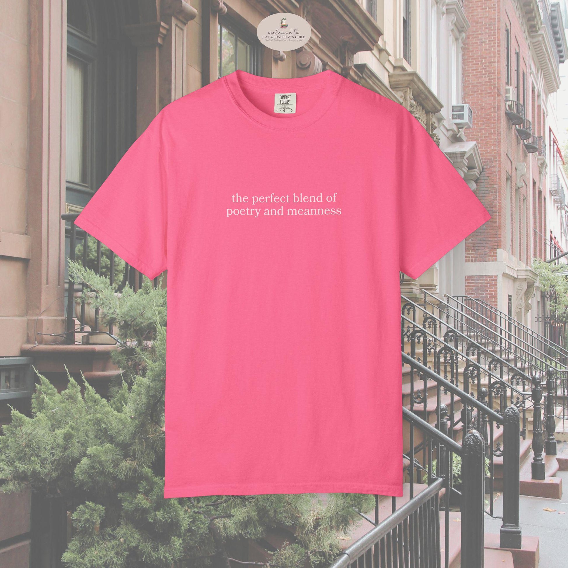 You've Got Mail 90s Romcom Nora Ephron Comfort Colors Tee * Perfect Blend of Poetry and Meanness Funny I Could Be Meaner Tom Hanks Quote