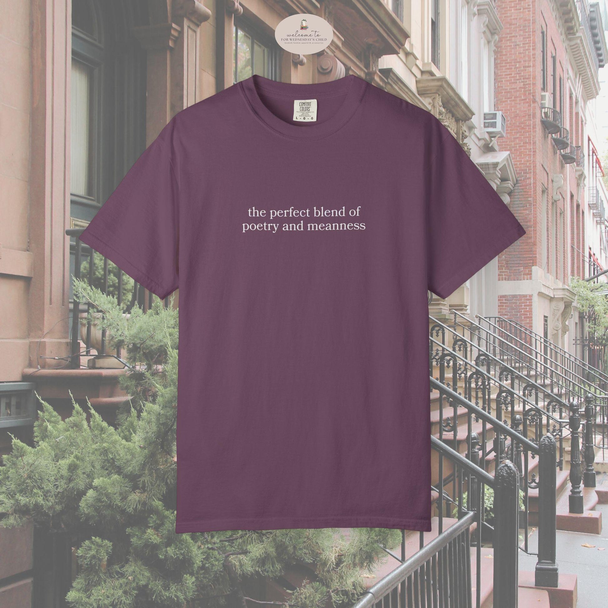 You've Got Mail 90s Romcom Nora Ephron Comfort Colors Tee * Perfect Blend of Poetry and Meanness Funny I Could Be Meaner Tom Hanks Quote