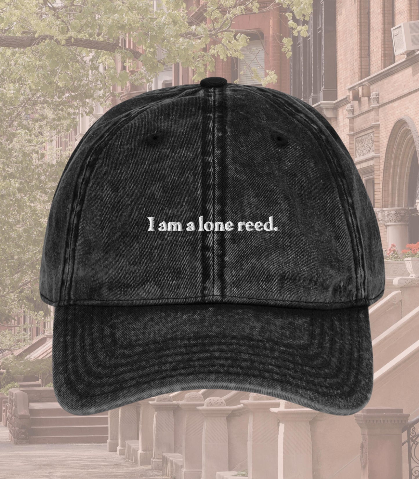 I am a lone reed Embroidered Dad Hat * Nora Ephron You've Got Mail * Kathleen Kelly Joe Fox NY152 * Don't Cry Shopgirl * y2k Romcom Fall