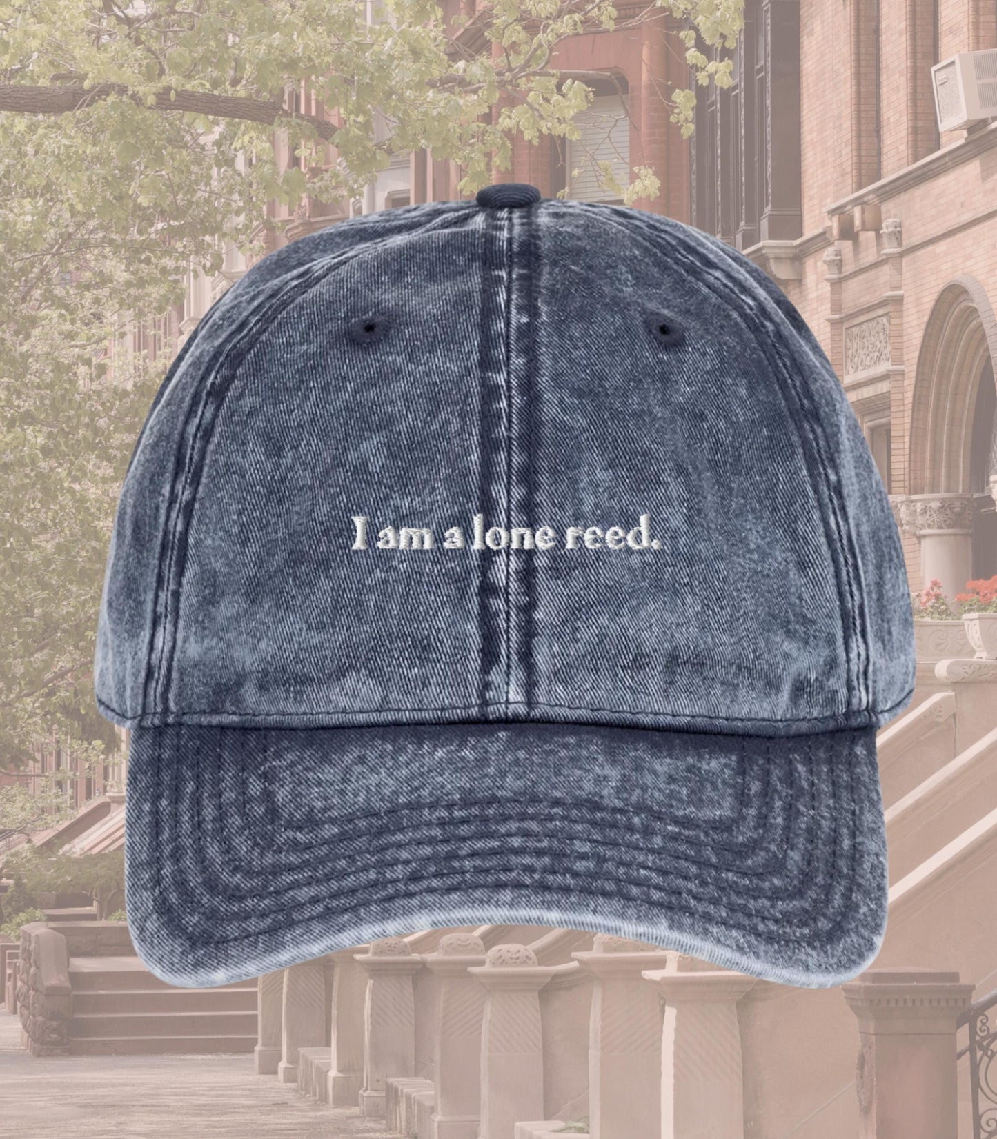 I am a lone reed Embroidered Dad Hat * Nora Ephron You've Got Mail * Kathleen Kelly Joe Fox NY152 * Don't Cry Shopgirl * y2k Romcom Fall