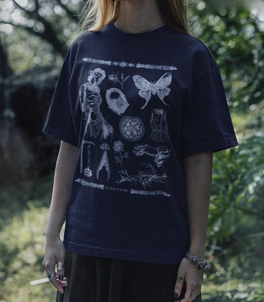 The Knight & the Moth Medievalcore Tee LICENSED Rachel Gillig Stonewater Kingdom Romantasy Fandom Merch Reader Gift Bartholomew Castlecore