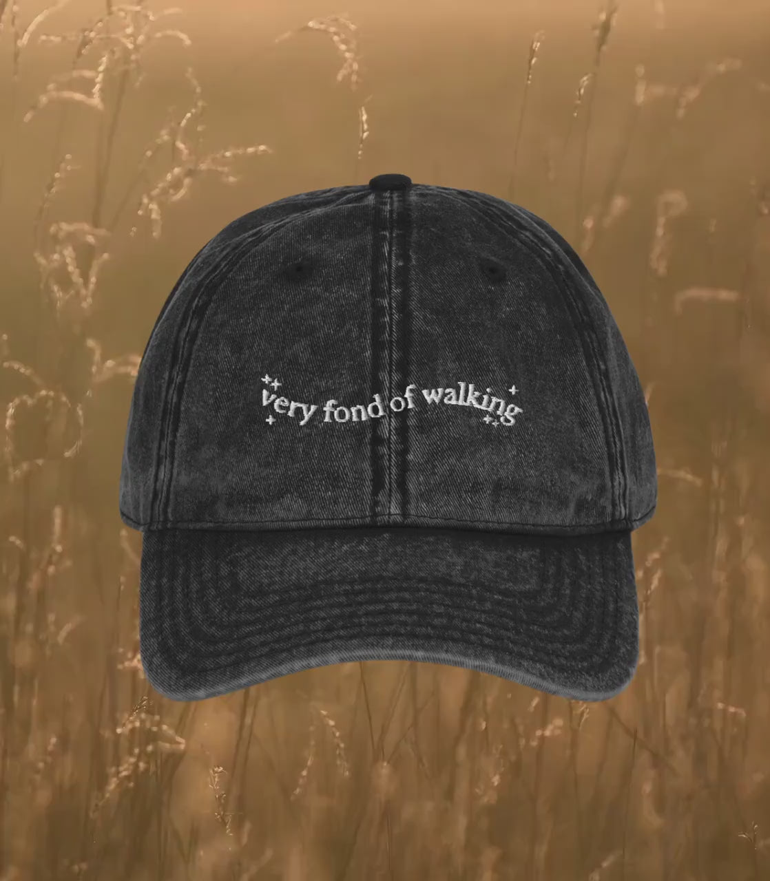 Pride & Prejudice Fond of Walking Vintage Embroidered Dad Hat * pemberley mr darcy elizabeth * Literature Bookish Gift Jane Austen Merch