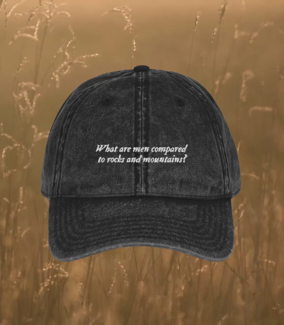 Pride & Prejudice What Are Men Compared to Rocks and Mountains Embroidered Dad Hat mr darcy elizabeth Bookish Gift Jane Austen Merch