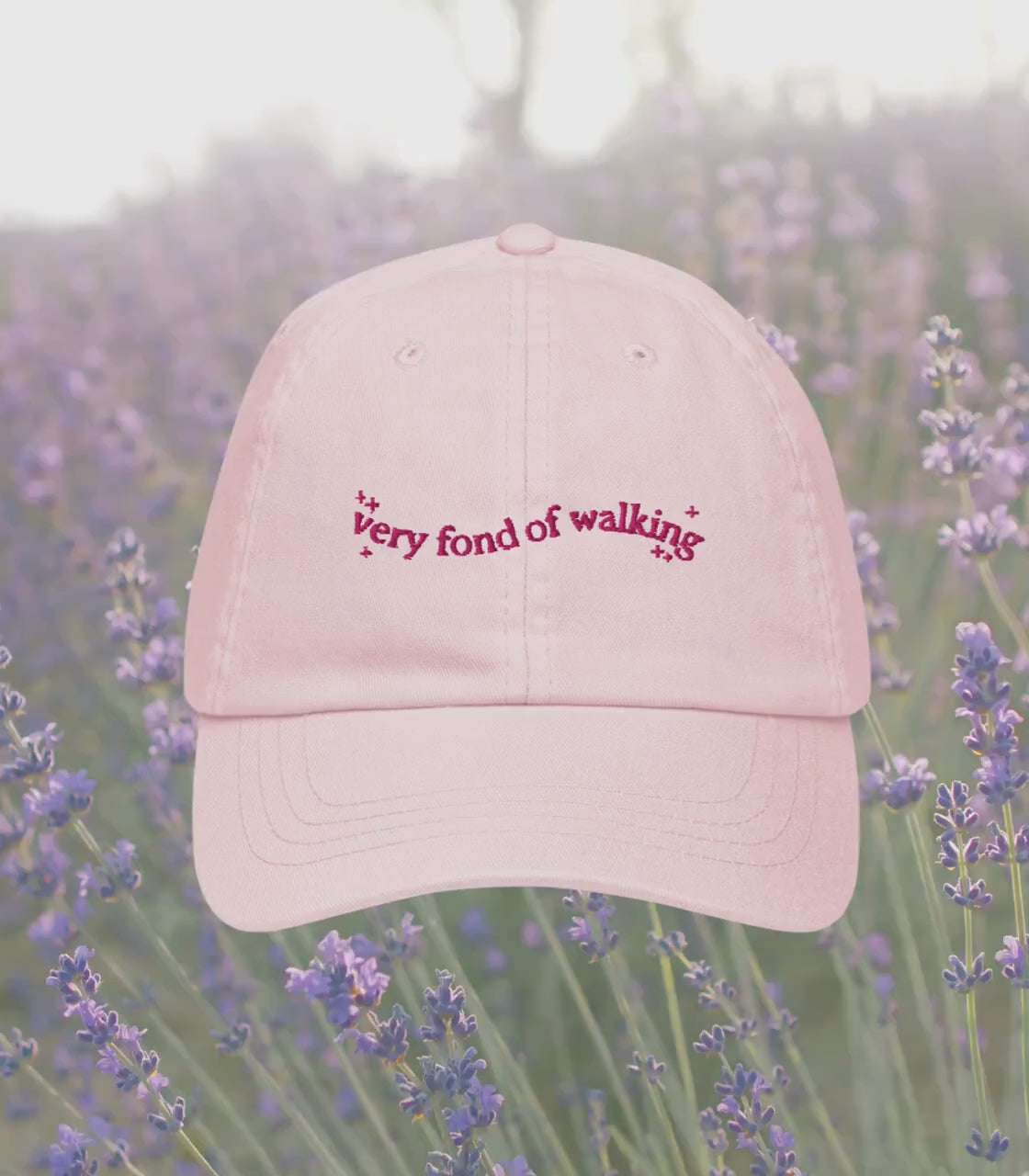 Pride & Prejudice Fond of Walking Vintage Pastel Girlie Embroidered Bookish Dad Hat * pemberley mr darcy * Literature Gift Jane Austen Merch